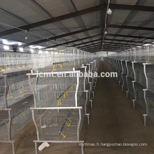 Poulet cage en gros galvanisé poulet couveuse à vendre